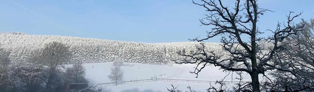 Beschikbaarheid vakantiewoning Achouffe